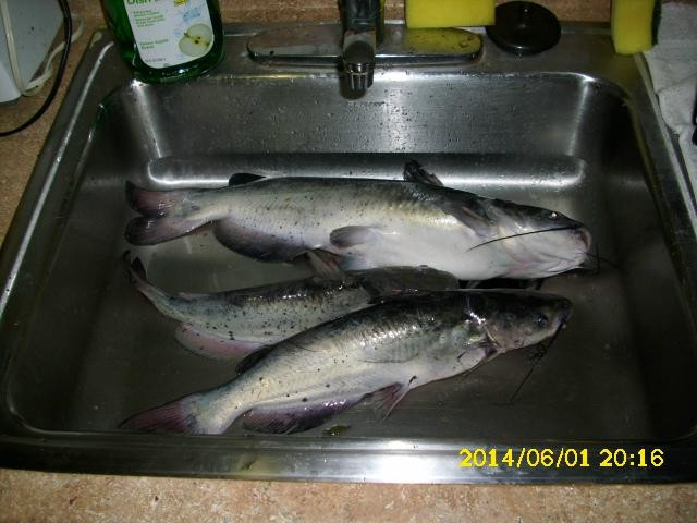 Kopp's Lakes-Clarksville必去景点