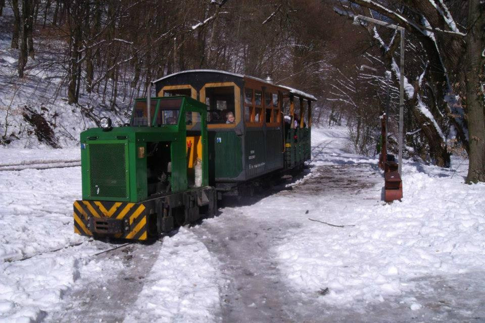 Kemence Forestry Museum Railway-Kemence必去景点