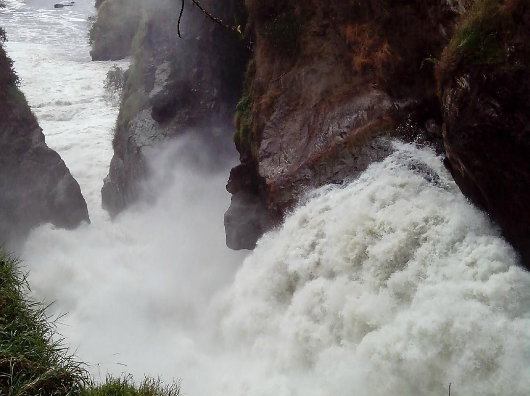 Upper Nile Safaris-坎帕拉必去景点