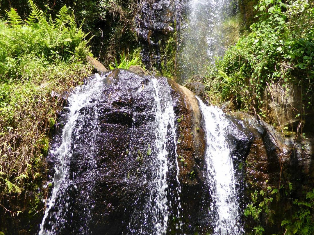 Waterfalls Inn Tigoni景点图片