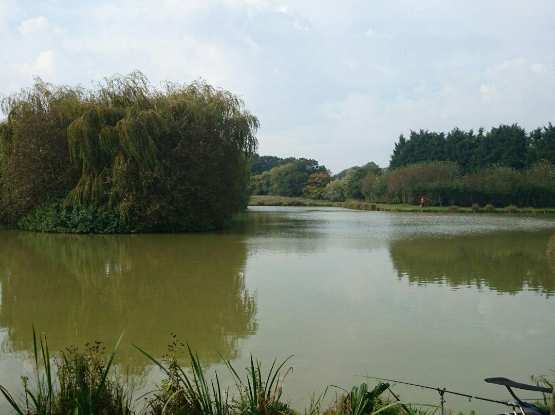 Shirkoak Farm Fishery and Bed & Breakfast景点图片