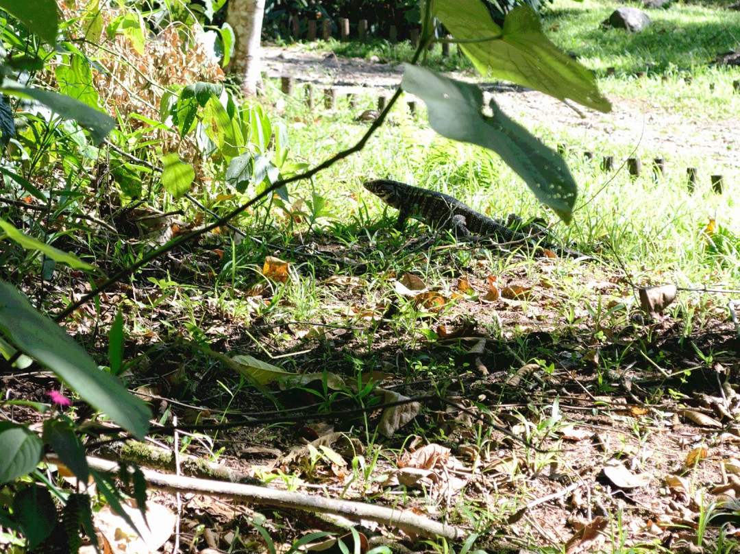 Parque Estadual Serra do Mar - Núcleo Caraguatatuba-Caraguatatuba必去景点