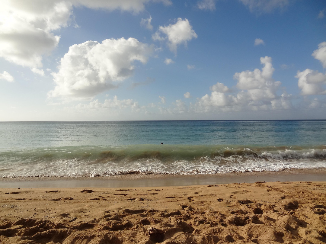 Plage de Grande Anse-Deshaies必去景点