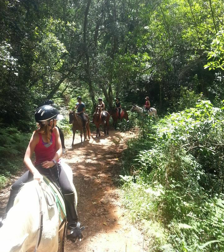 Garden Route Horse Trails-荒野必去景点