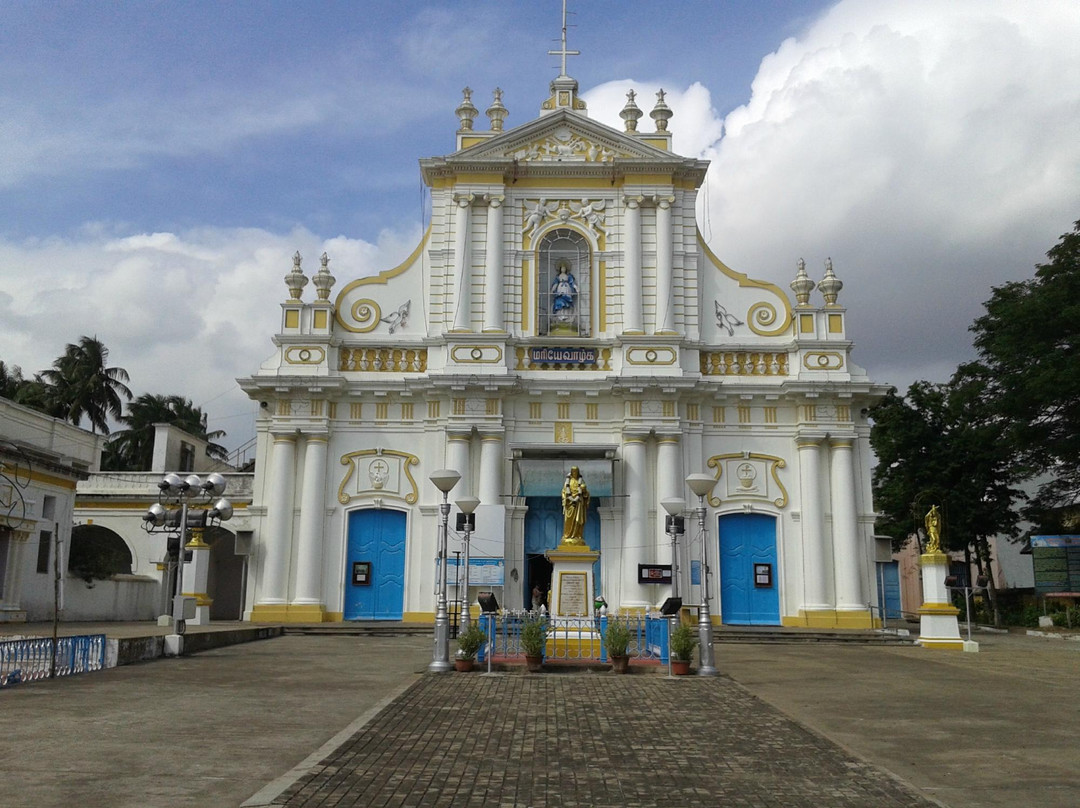 Immaculate Conception Cathedral景点图片