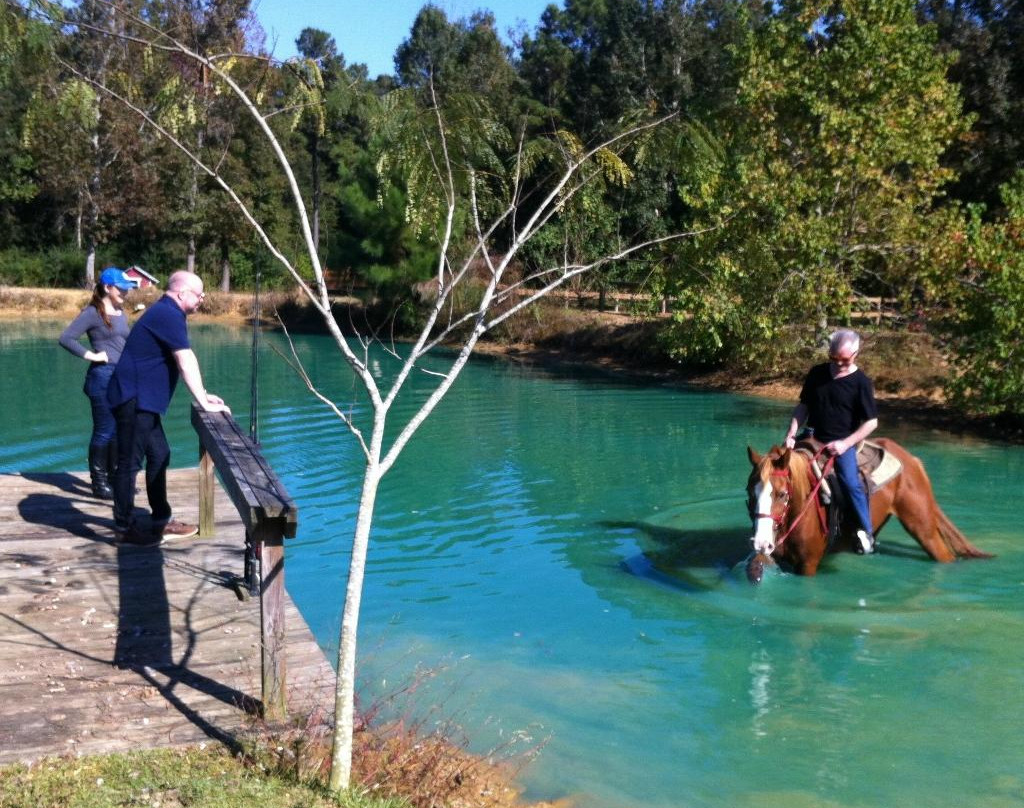 Sunflower Farm and Ranch-Folsom必去景点