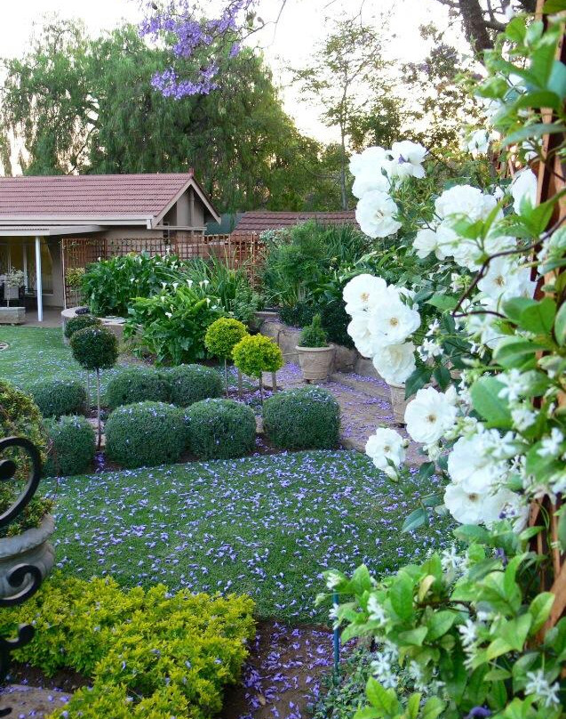 Olivia's Place主图