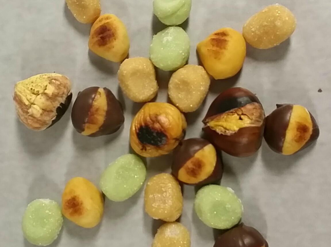 Zuccotti-热那亚必去景点