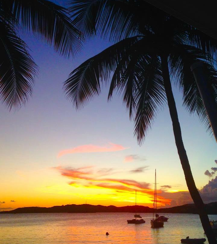 Wasabi Sailing-夏洛特阿马利亚必去景点