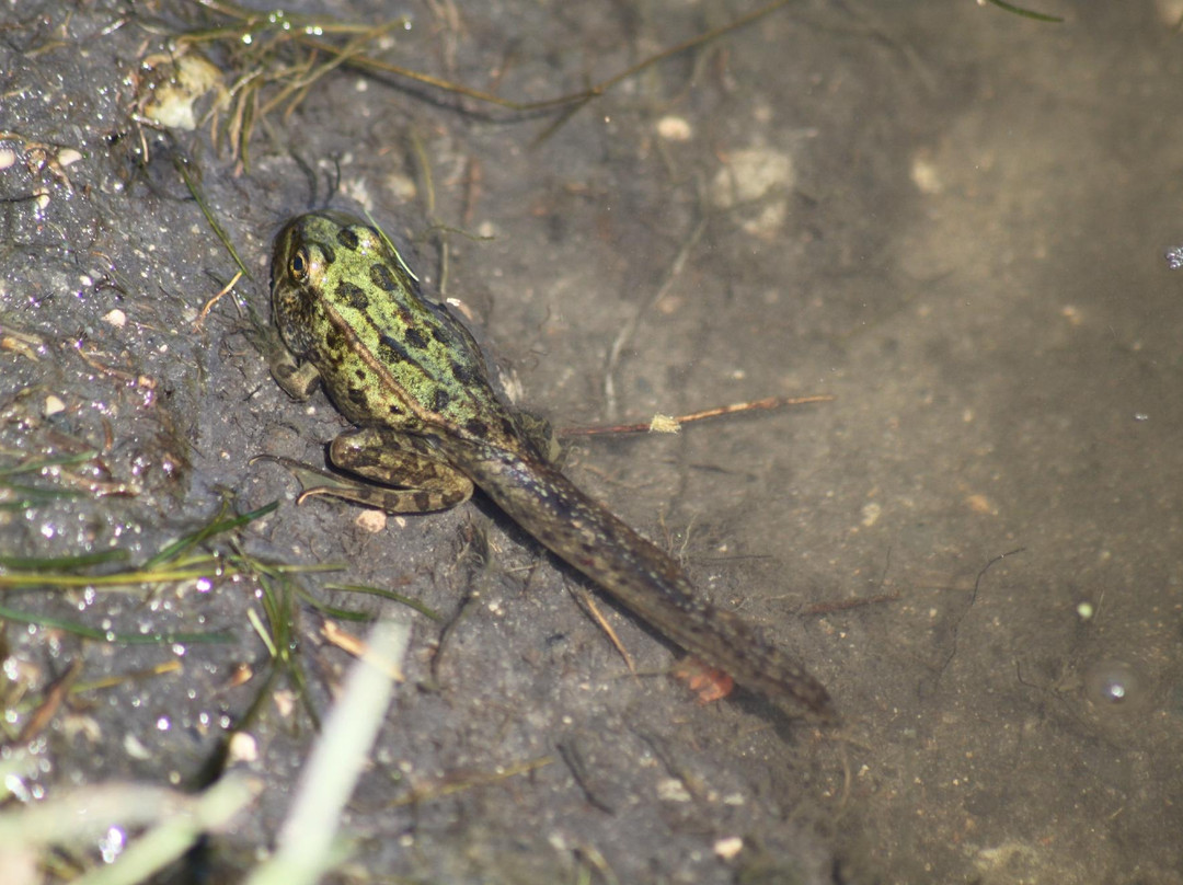 Riverbank Discovery Centre-布兰登必去景点