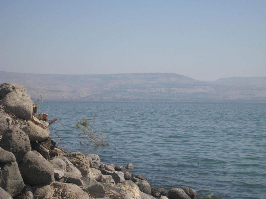 Capharnaum the Town of Jesus-Capernaum必去景点