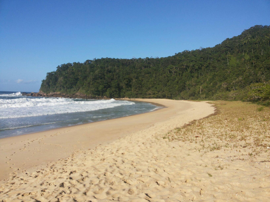Praia Brava景点图片