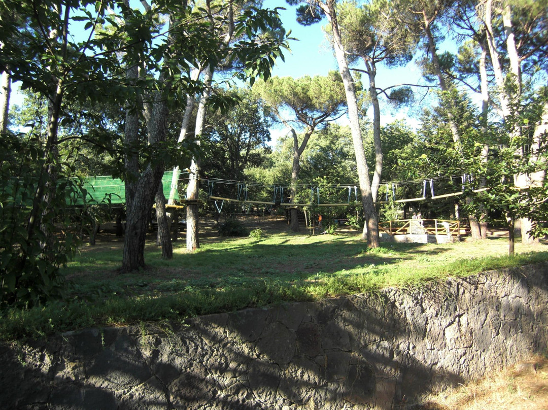 Bono旅游景点-Monte Pisanu