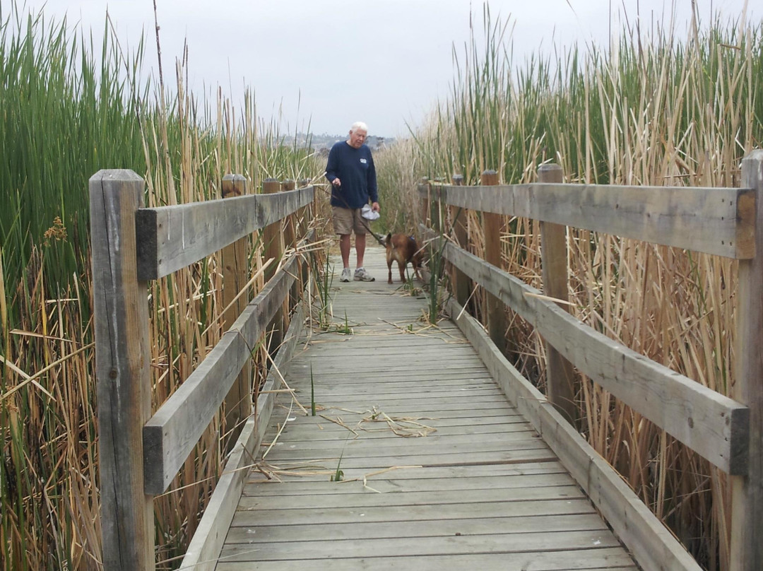 Buena Vista Audubon Society & Nature Center-欧申赛德必去景点