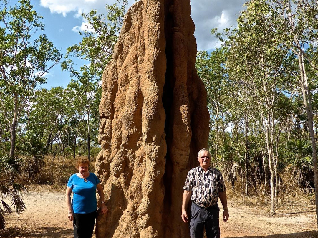 Magnetic Termite Mounds景点图片