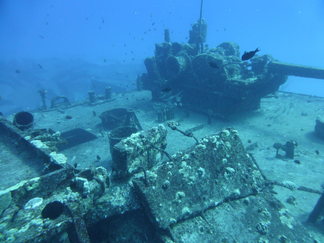 Underwater Oahu-怀厄奈必去景点