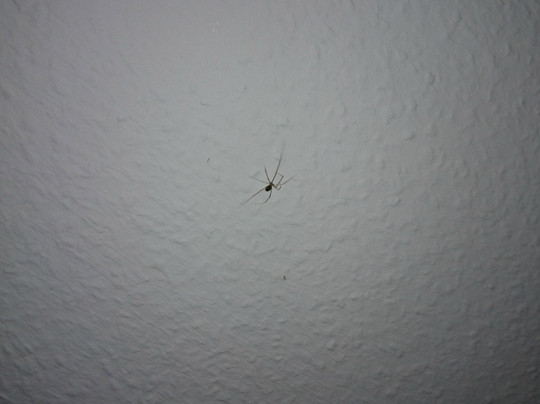 Hotel Zum Maerchenwald