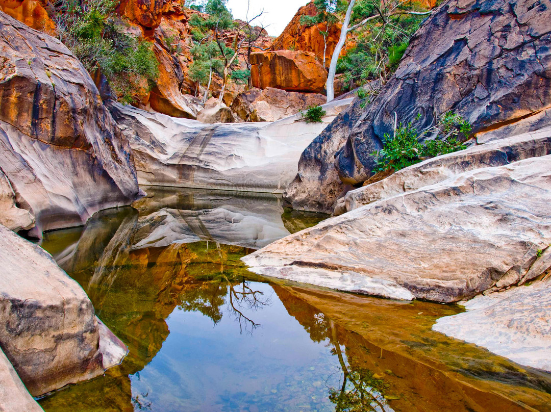 Tjoritja/West MacDonnell National Park景点图片