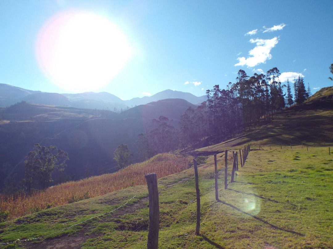 Hosteria Pircapamba主图