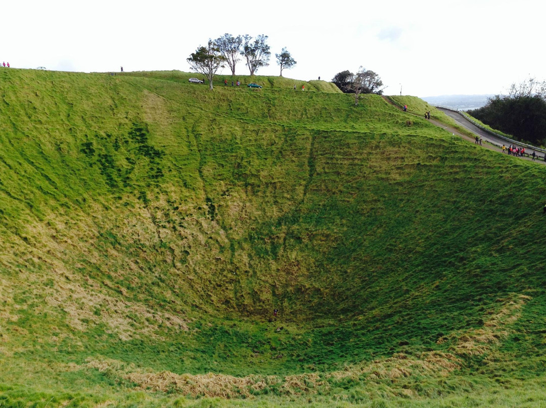 伊甸山-奥克兰中心地区必去景点