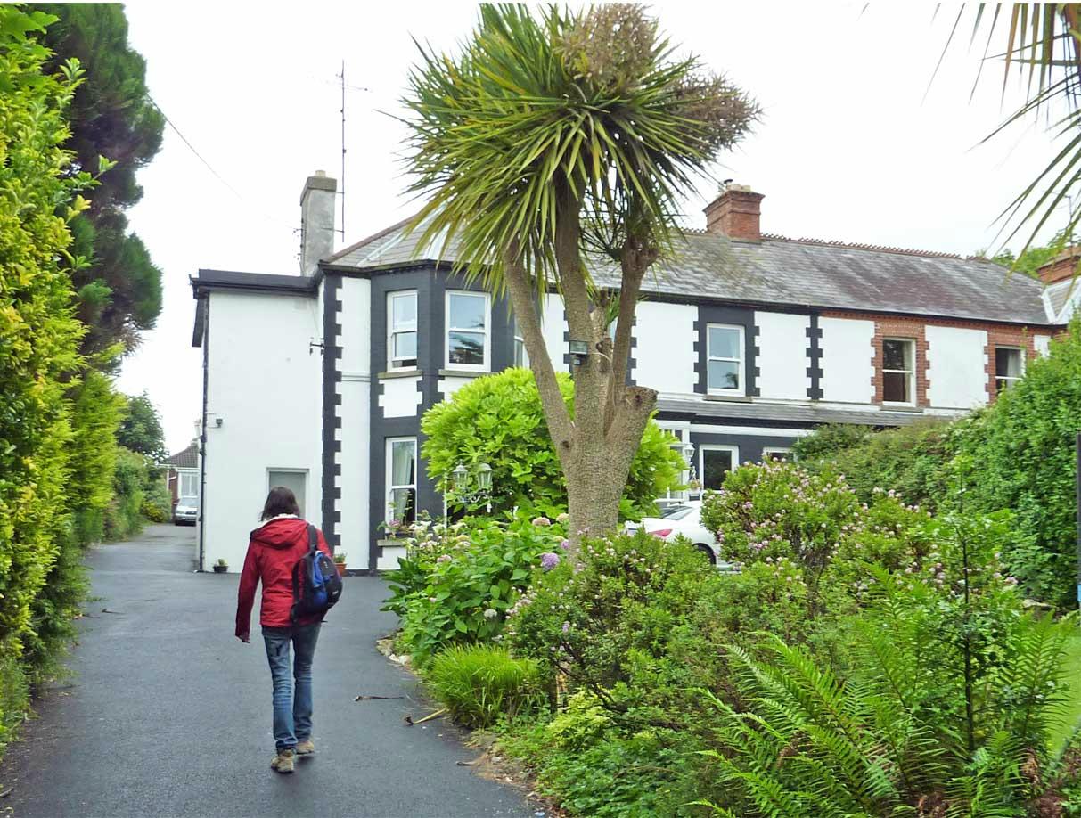 Highfield B&B-客卧