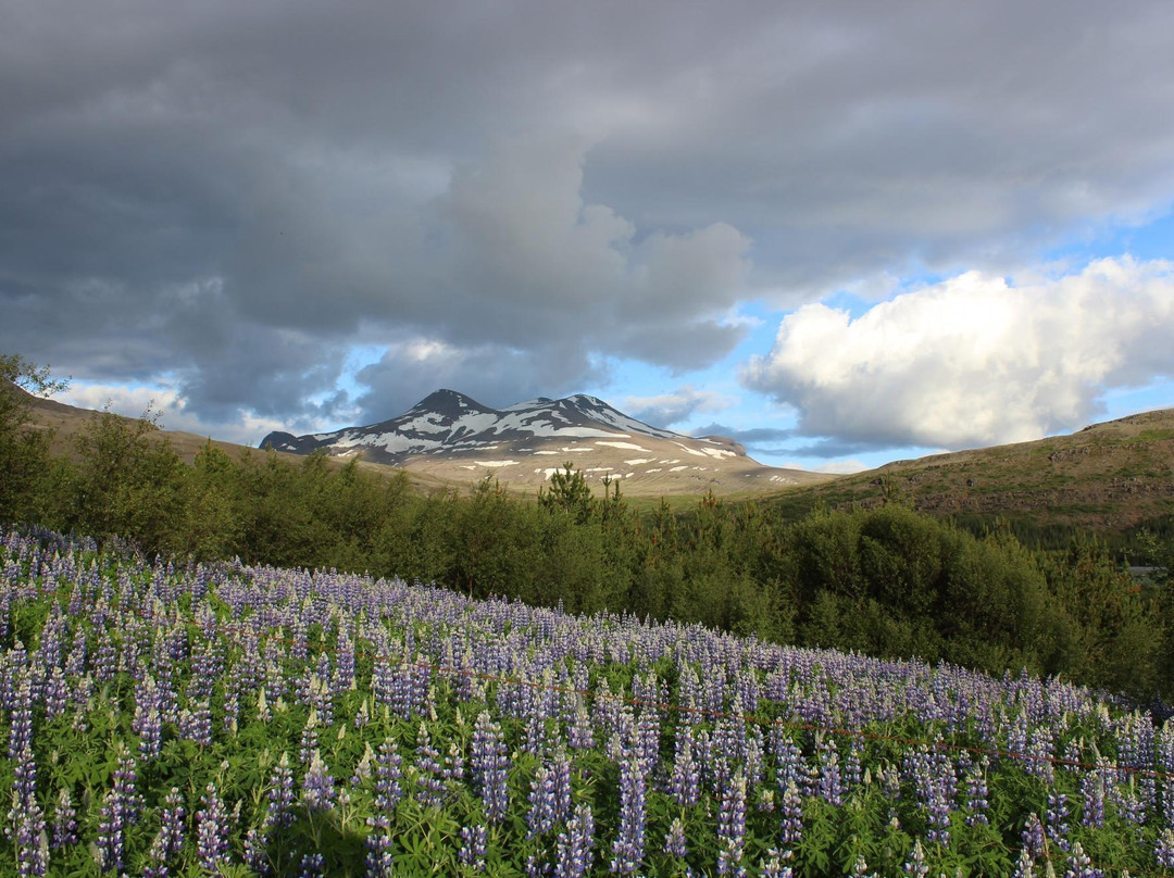 Glymur-Akranes必去景点