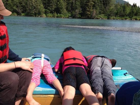 Kenai Riverdog-Cooper Landing必去景点