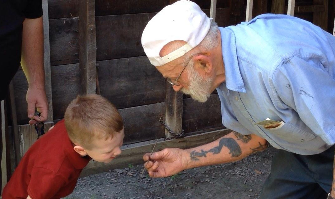 Knight's Spider Web Farm-Williamstown必去景点