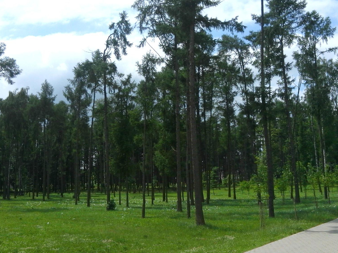 Pobedy Park景点图片