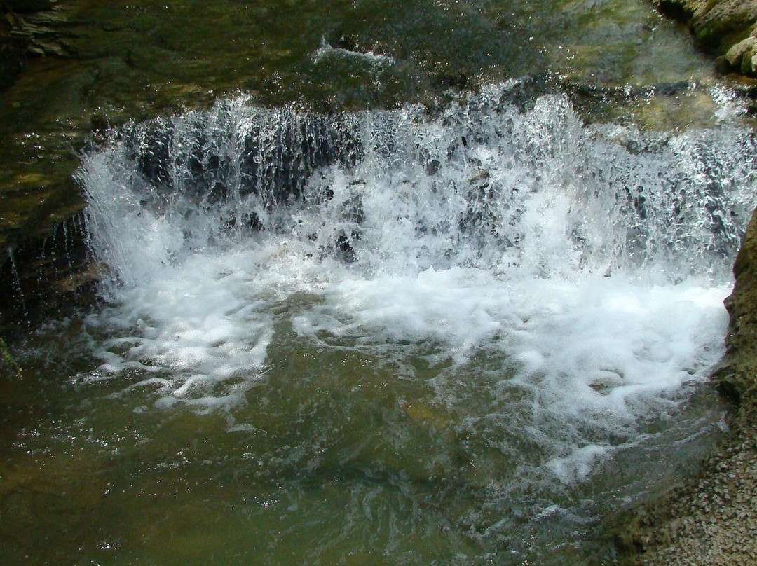 Saunders Springs Nature Preserve-Radcliff必去景点