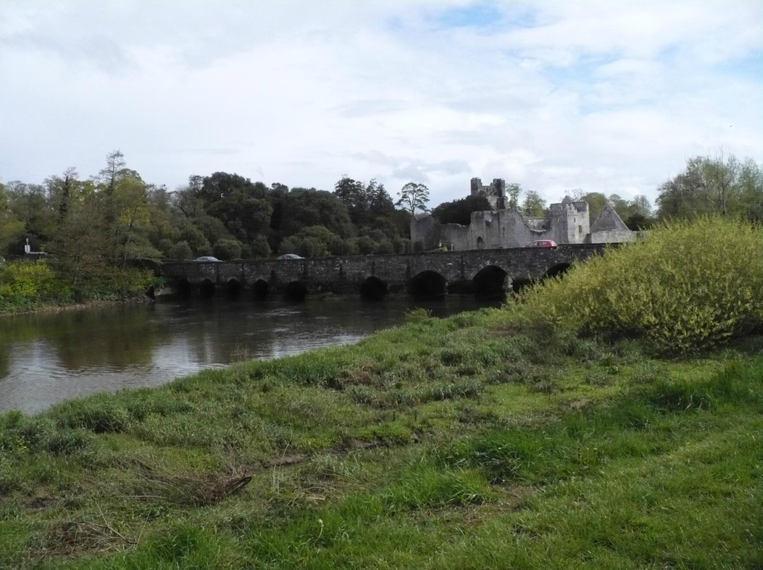 Adare Castle-利默里克郡必去景点