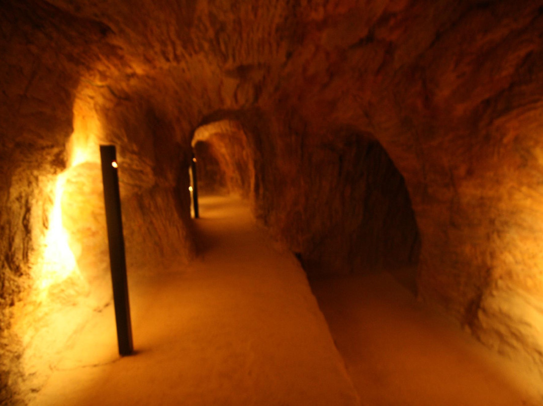 Sant Climent de Llobregat旅游景点-Gava Mines Archaeological Park