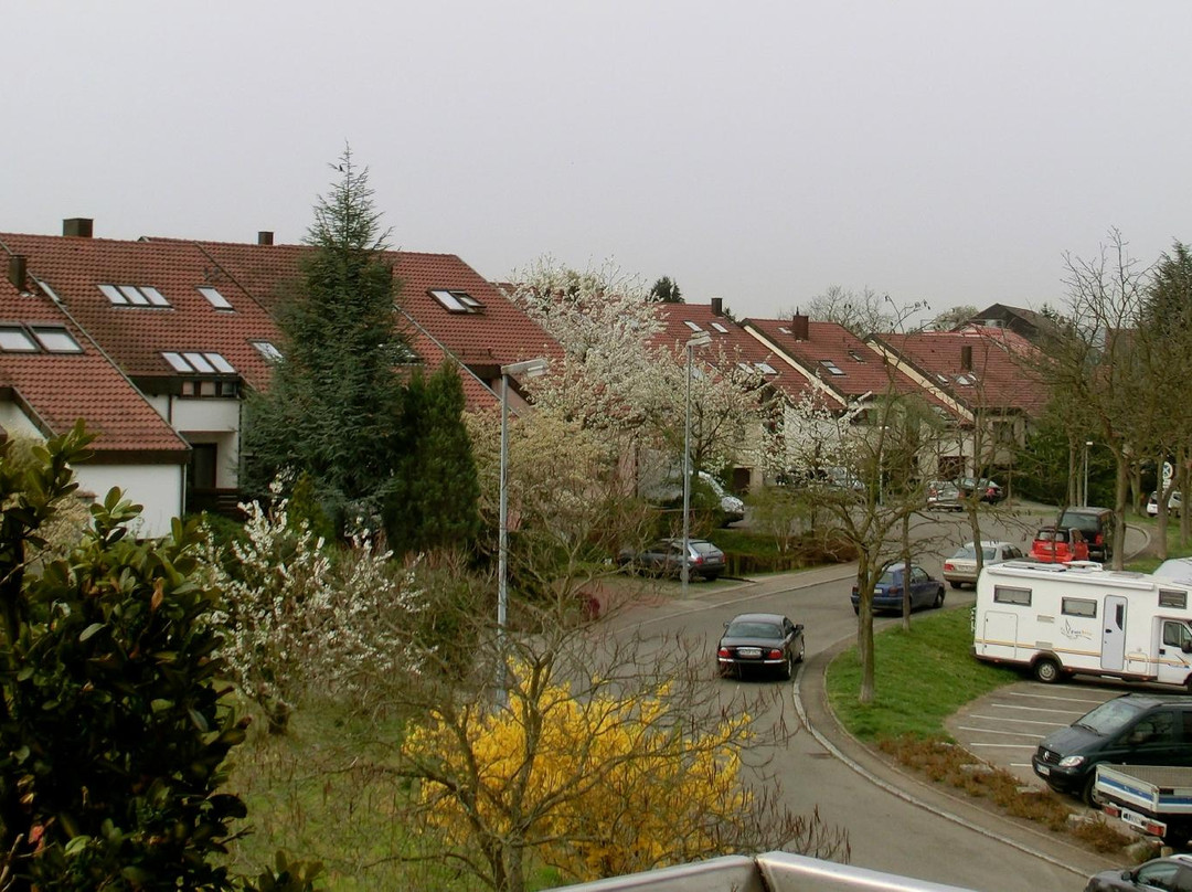 Hotel-Restaurant Alte Kelter主图