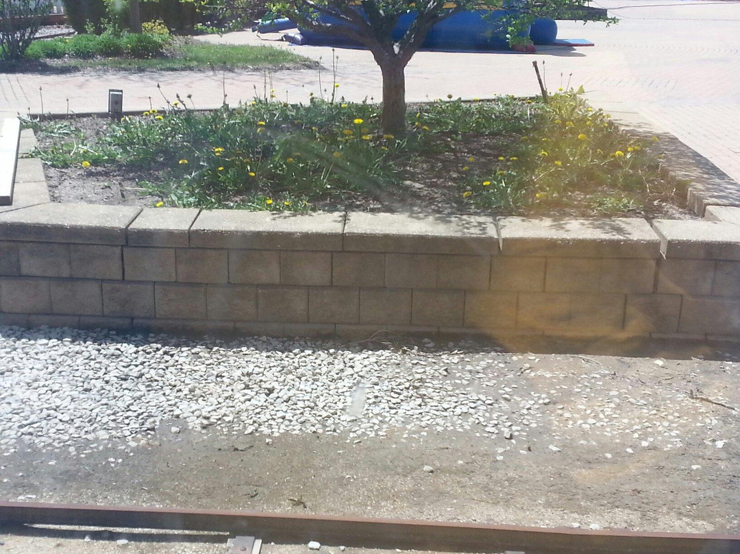 Odyssey Fun World-廷利公园必去景点