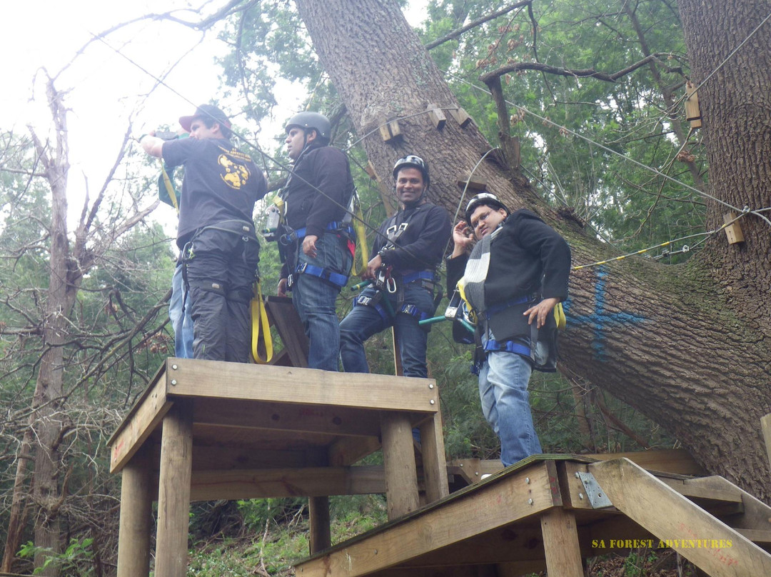 SA Forest Adventures-卡里登必去景点
