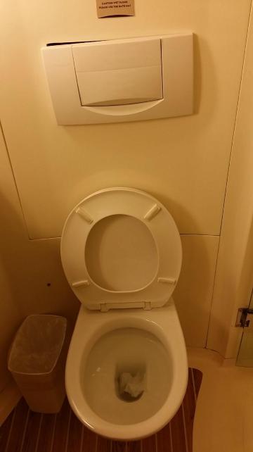 宜必思酒店(上海新国际博览中心芳甸路地铁站店)-浴室