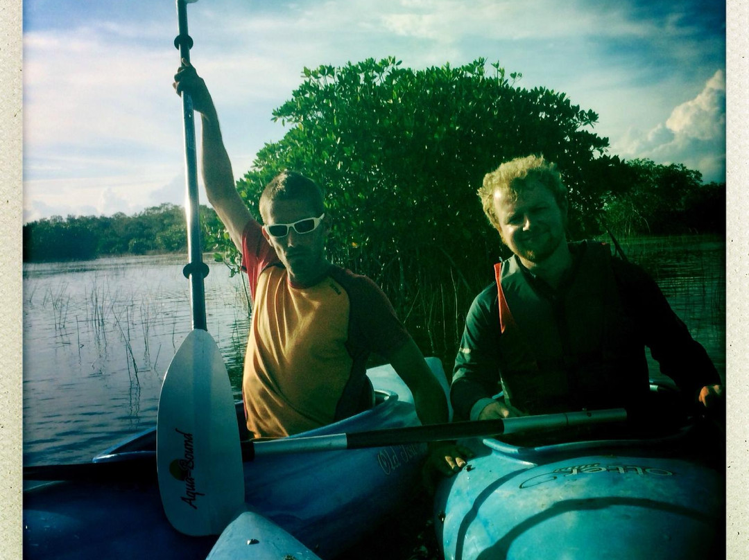 Tours in the Glades-佛罗里达城必去景点