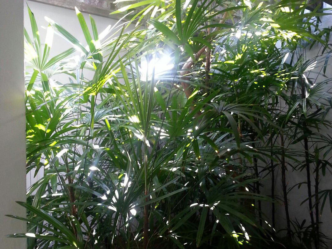 Number 11-科伦坡必去景点