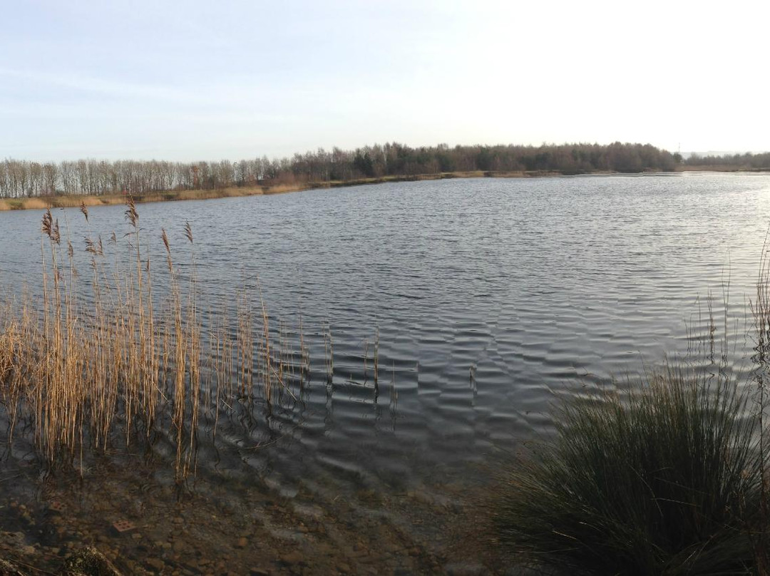 Wykeham Lakes Fishery景点图片