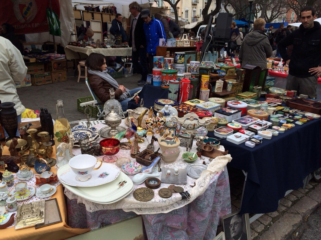 Feira Da Ladra (campo De Santa Clara)-里斯本必去景点