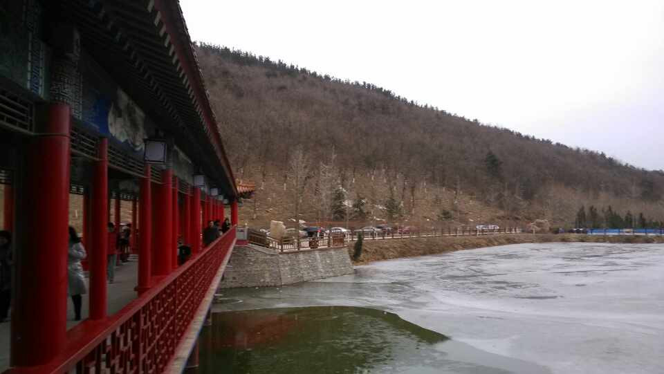 旅顺龙王塘樱花园-大连市必去景点