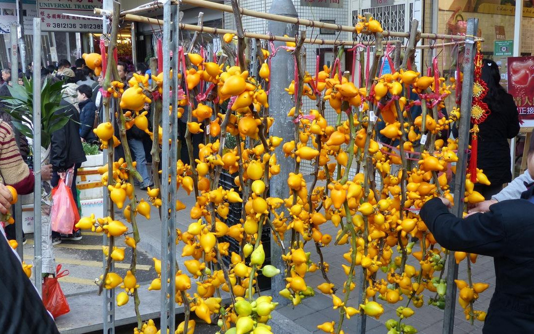 花墟道-香港必去景点