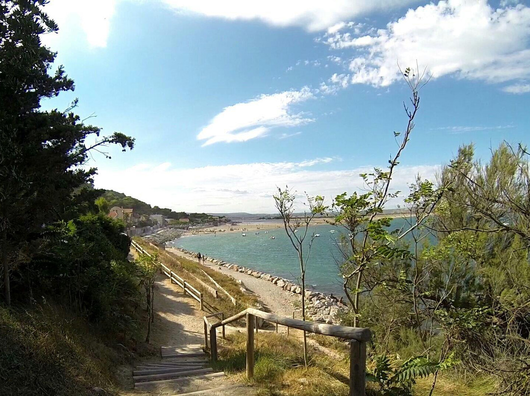 La Franqui Beach景点图片