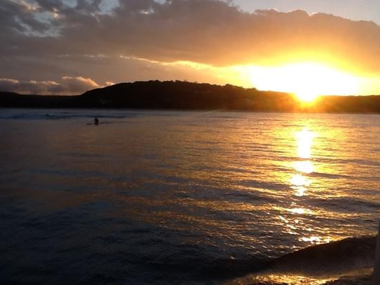 Cronulla & National Park Ferry Cruises-克罗纳拉必去景点