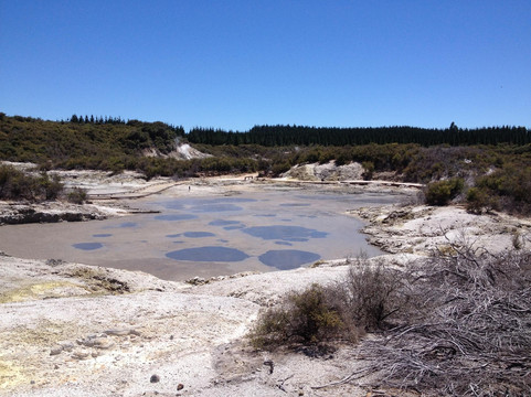 地狱之门地热公园-Tikitere必去景点