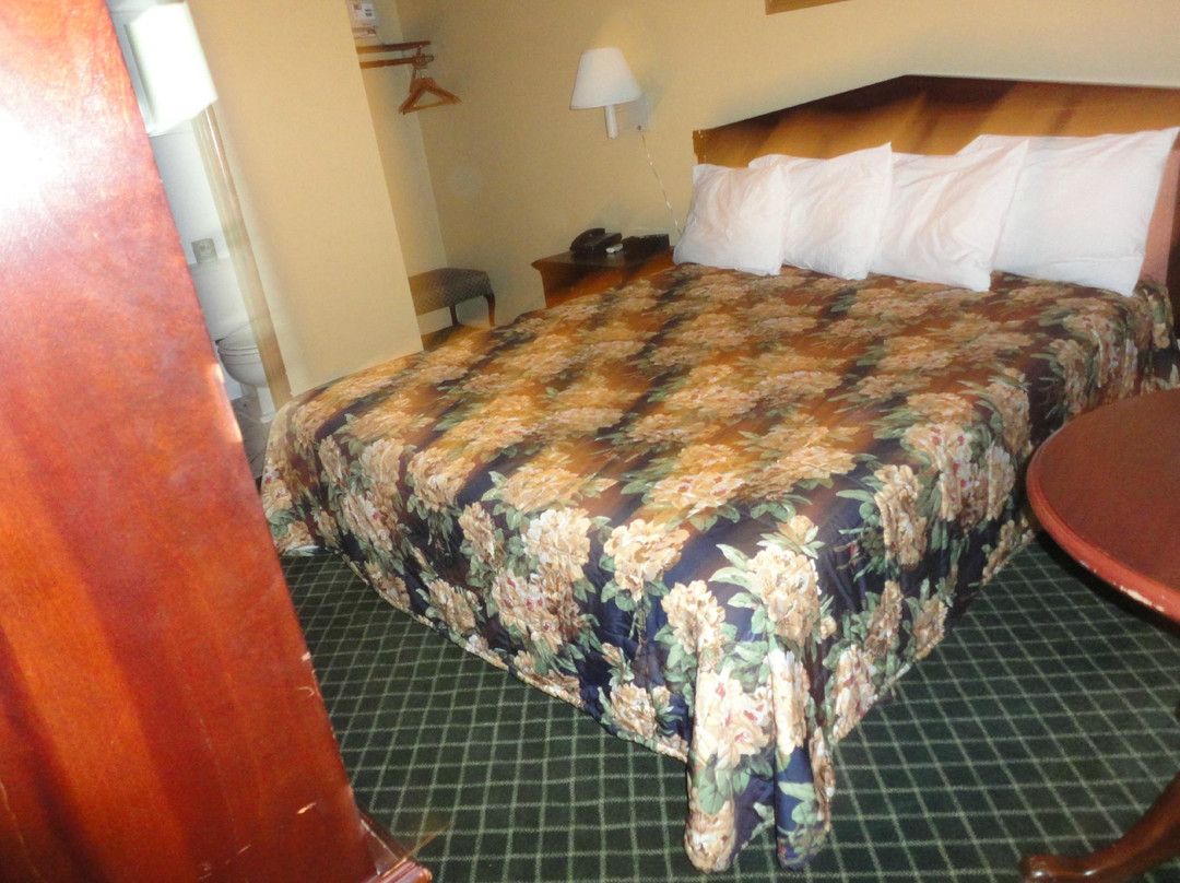 科鲁萨汽车旅馆主图