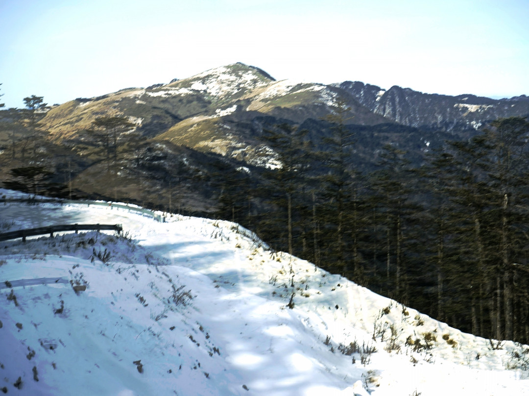神农顶国家自然保护区-神农架林区必去景点
