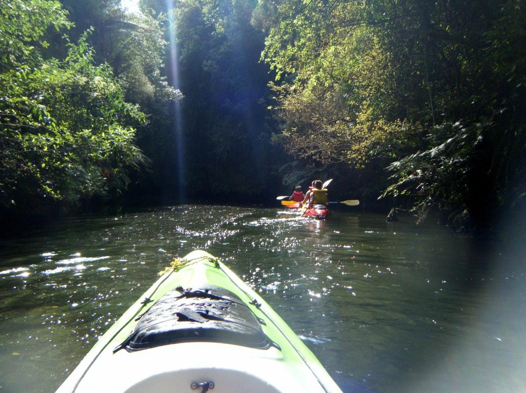 Riverside Adventures Waikato景点图片