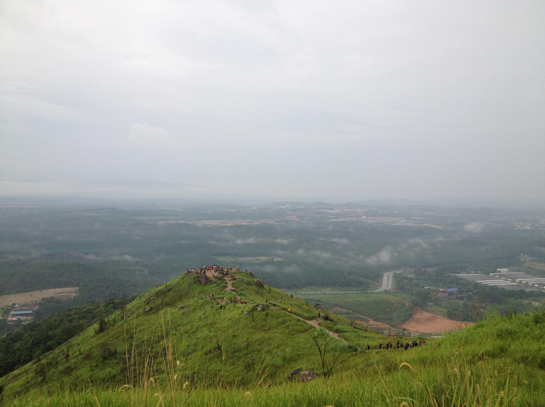 Broga Hill景点图片
