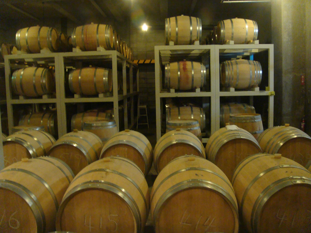 Furano Wine Factory-富良野市必去景点